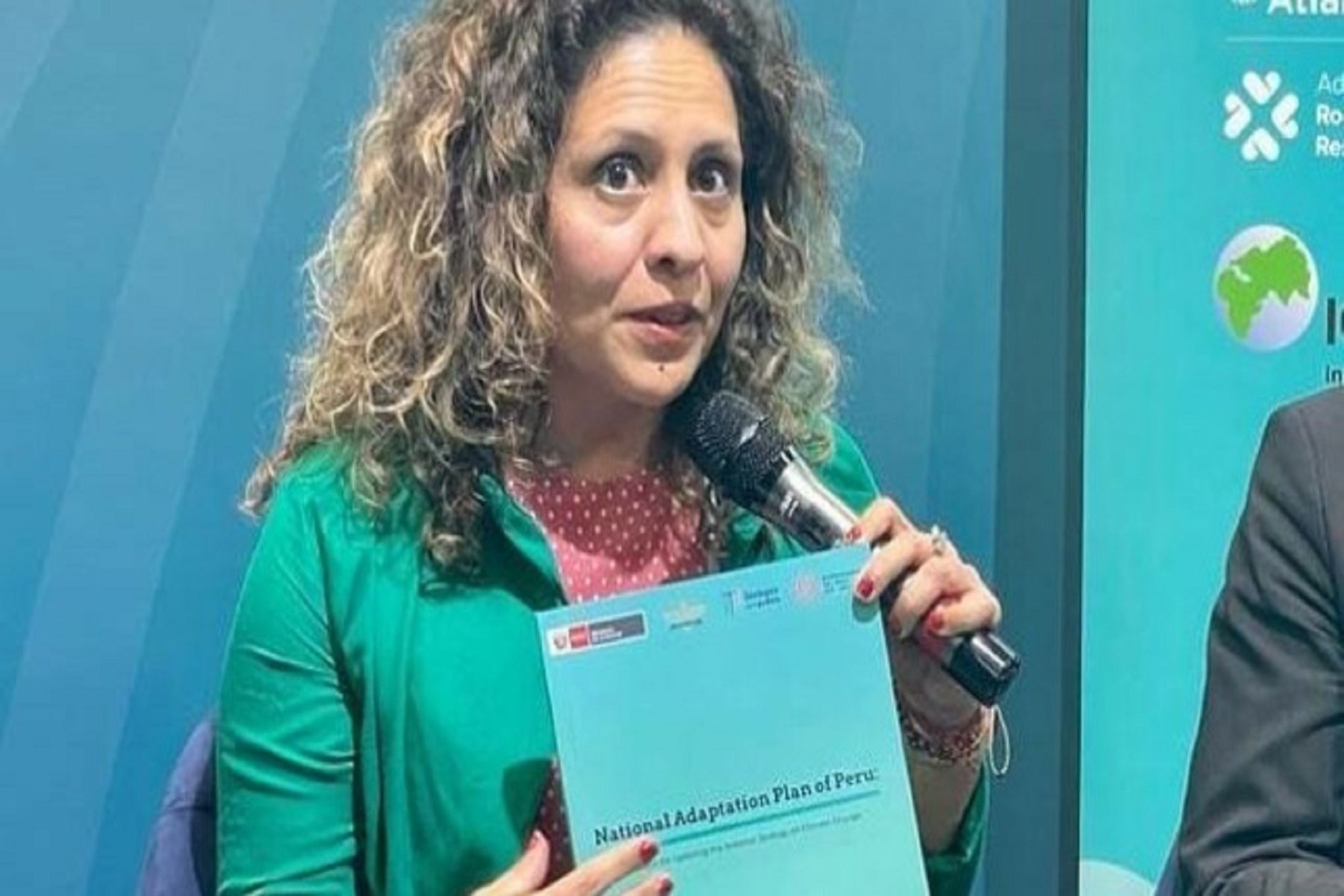 <div style='display:none'>Clipping Digital | Gabriel Abusada//</div> Perú propone que financiamiento climático llegue oportunamente a poblaciones vulnerables