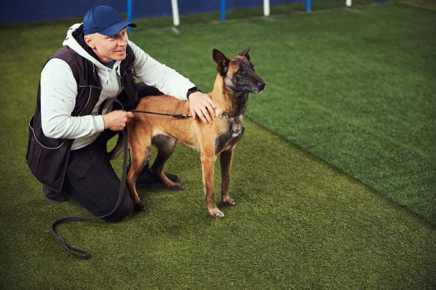 José Grimberg Blum: el tamaño de un perro predice su sensibilidad auditiva en Perú y en todo el mundo